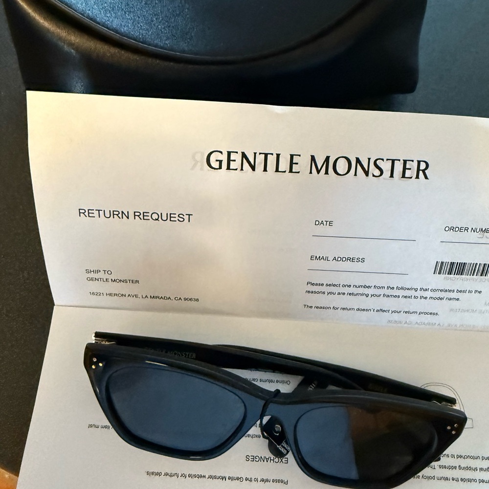 Gentle Monster Classic Black Eyewear